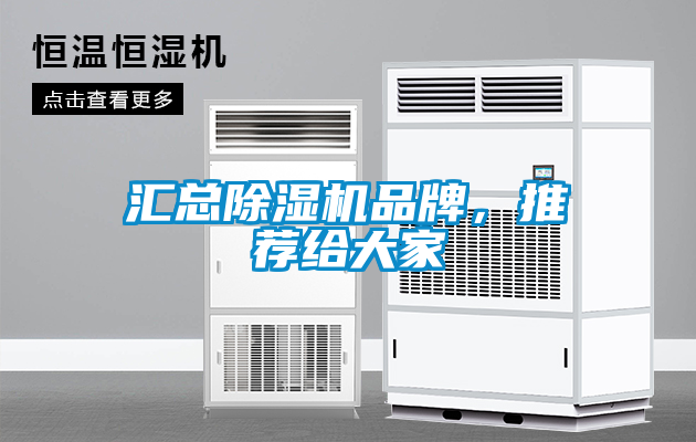 汇总麻豆视频黄网站品牌，推荐给大家