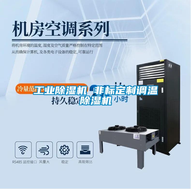 工业麻豆视频黄网站 非标定制调温麻豆视频黄网站