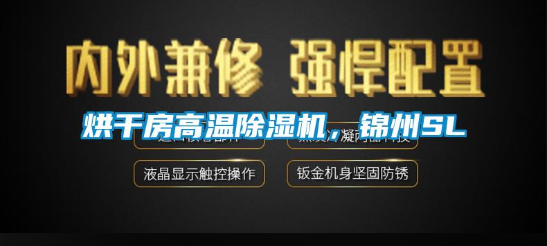 烘干房高温麻豆视频黄网站，锦州SL