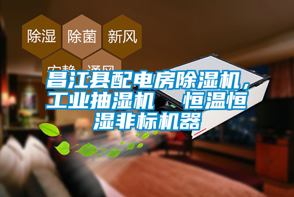 昌江县配电房麻豆视频黄网站，工业抽湿机  恒温恒湿非标机器