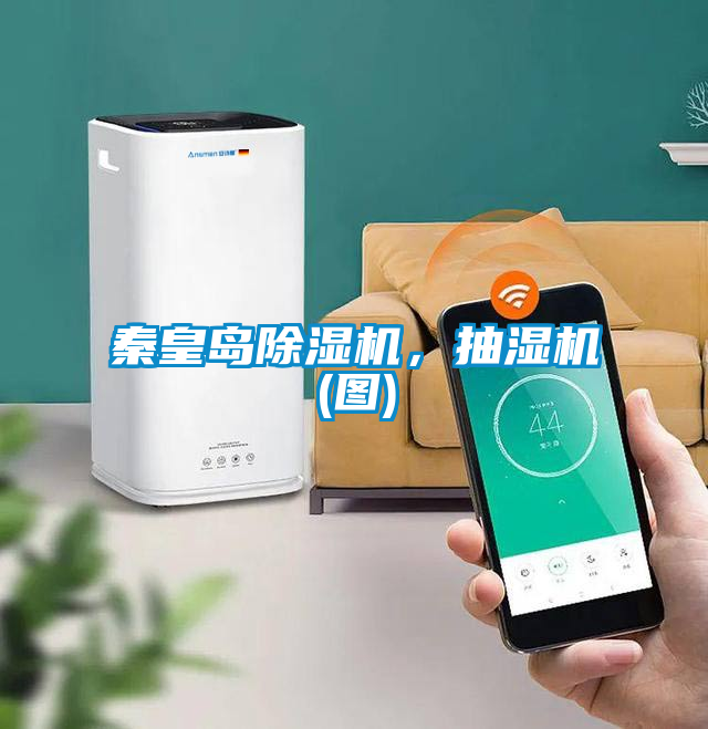 秦皇岛麻豆视频黄网站，抽湿机(图)