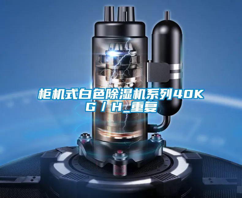 柜机式白色麻豆视频黄网站系列40KG／H_重复