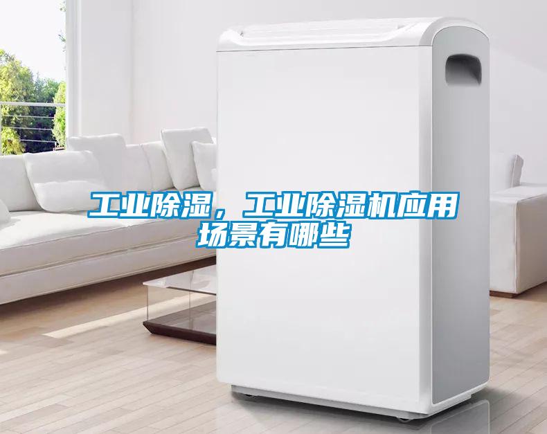 工业除湿，工业麻豆视频黄网站应用场景有哪些