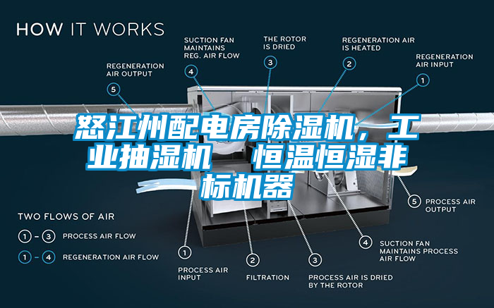 怒江州配电房麻豆视频黄网站，工业抽湿机  恒温恒湿非标机器