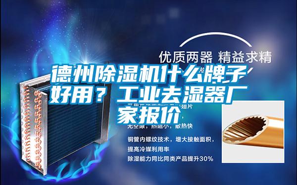 德州麻豆视频黄网站什么牌子好用？工业去湿器厂家报价