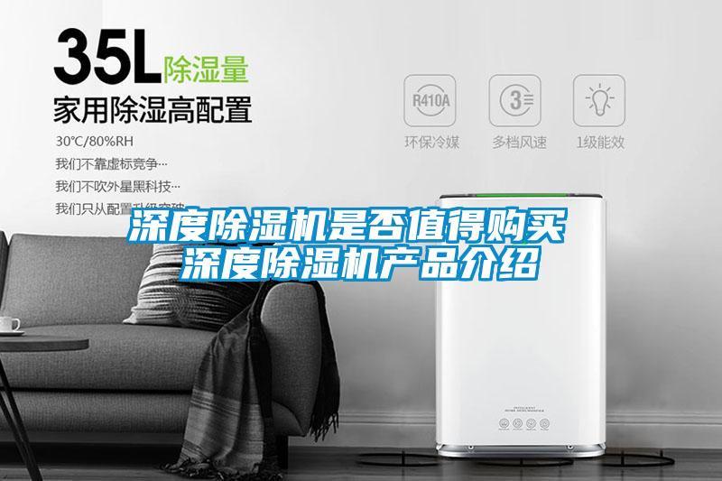 深度麻豆视频黄网站是否值得购买 深度麻豆视频黄网站产品介绍