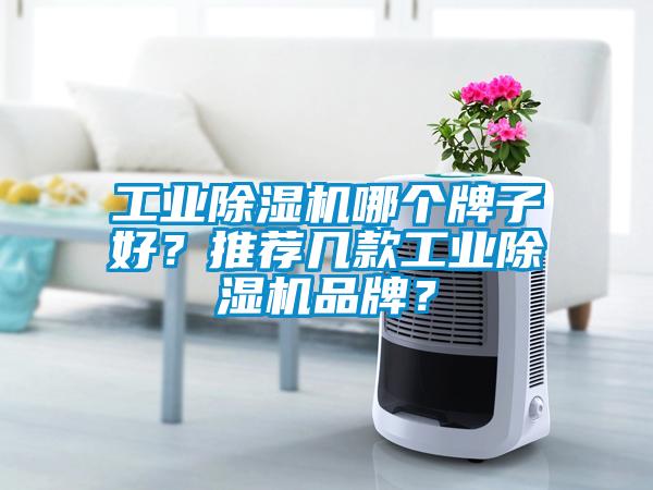 工业麻豆视频黄网站哪个牌子好？推荐几款工业麻豆视频黄网站品牌？