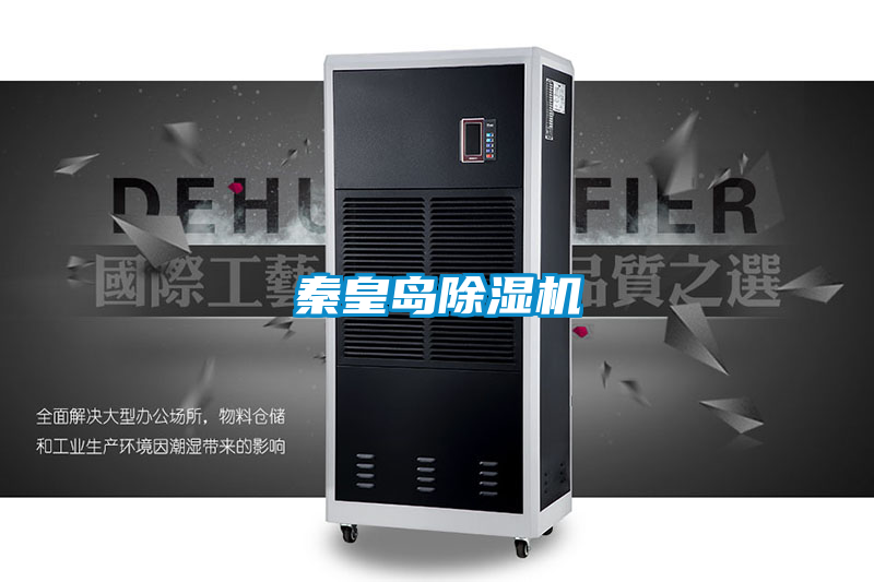 秦皇岛麻豆视频黄网站