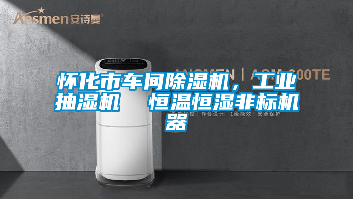 怀化市车间麻豆视频黄网站，工业抽湿机  恒温恒湿非标机器