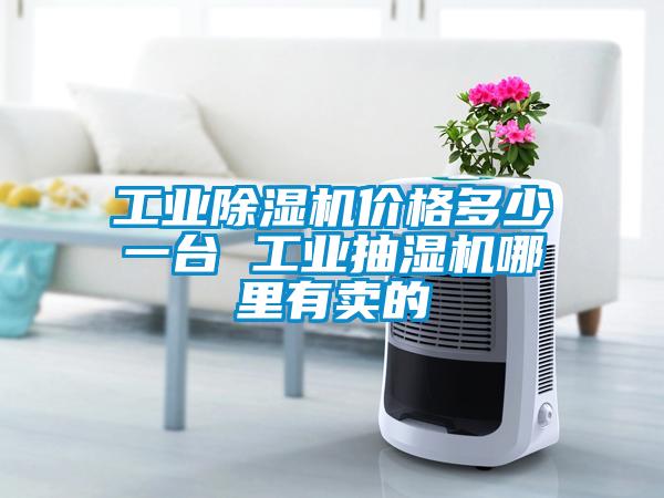 工业麻豆视频黄网站价格多少一台 工业抽湿机哪里有卖的