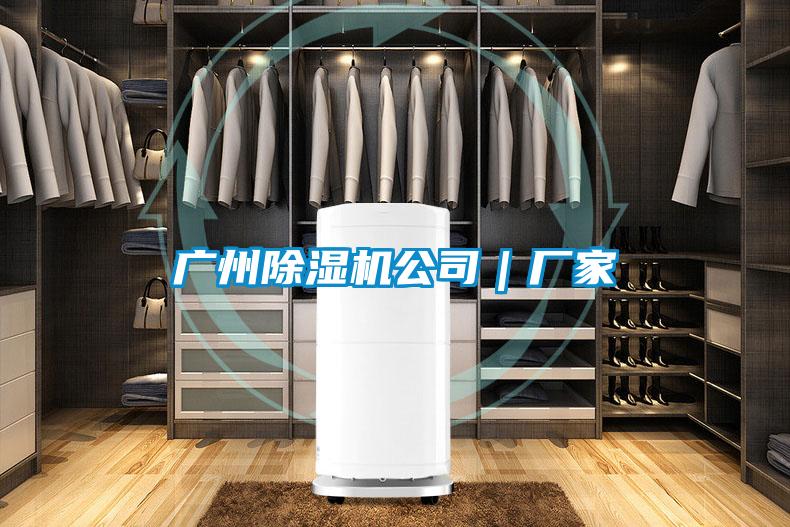 广州麻豆视频黄网站公司｜厂家