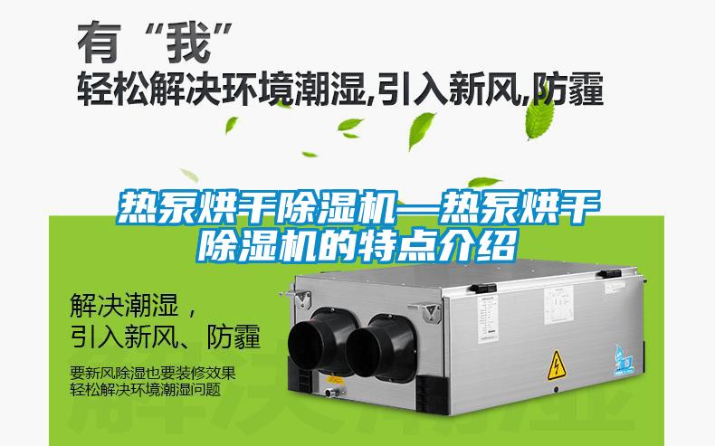 热泵烘干麻豆视频黄网站—热泵烘干麻豆视频黄网站的特点介绍