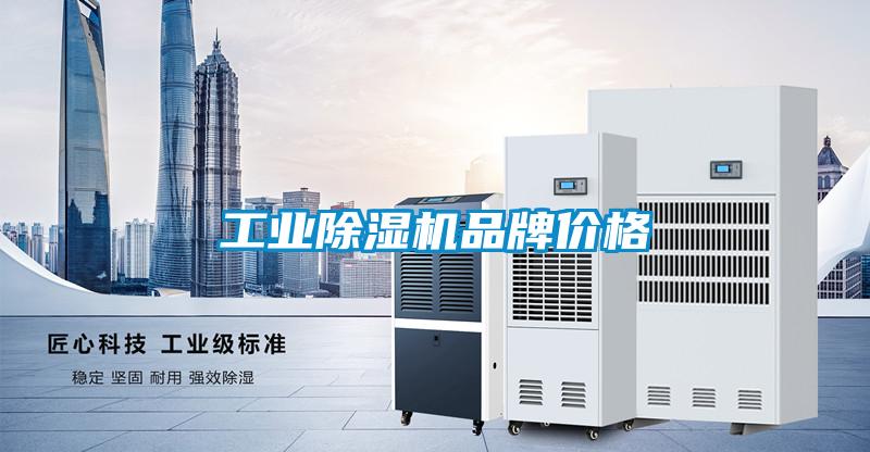 工业麻豆视频黄网站品牌价格