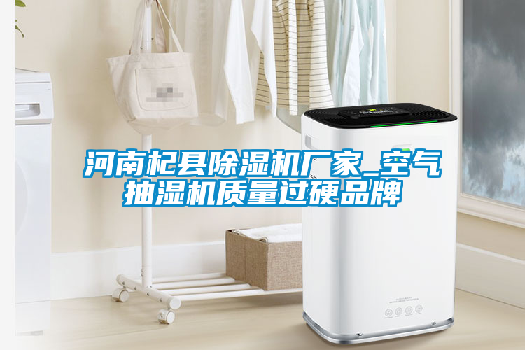 河南杞县麻豆视频黄网站厂家_空气抽湿机质量过硬品牌