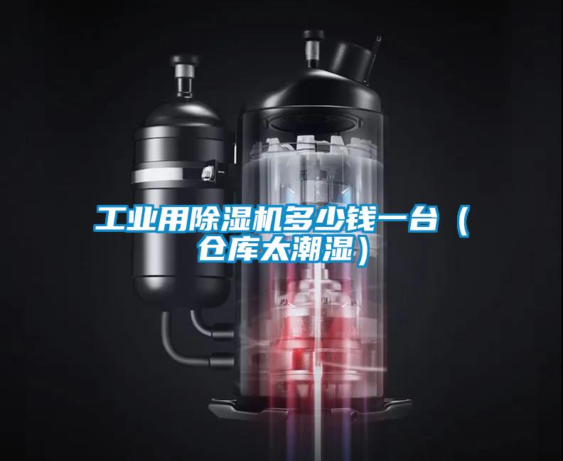 工业用麻豆视频黄网站多少钱一台（仓库太潮湿）