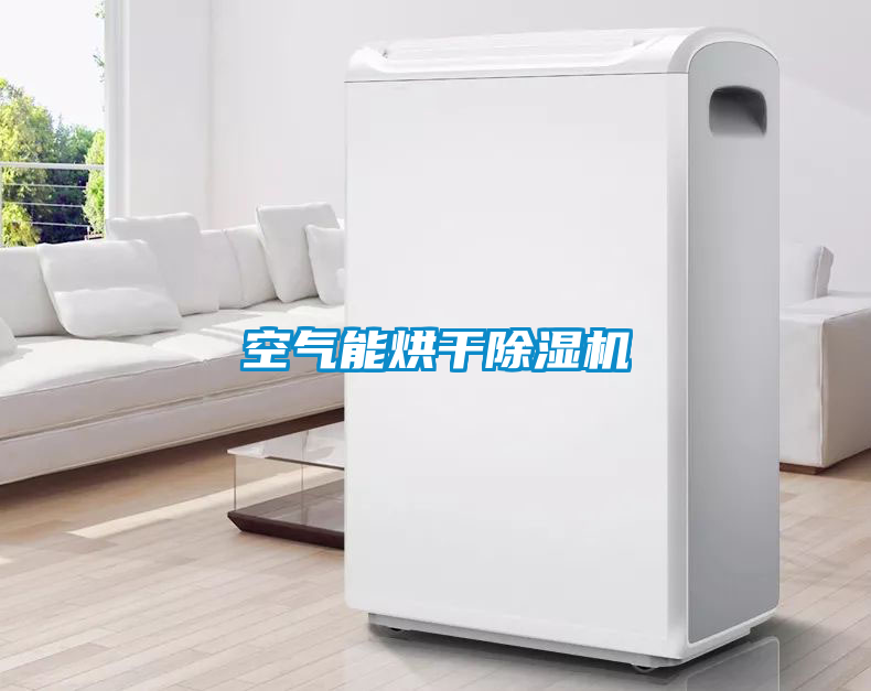 空气能烘干麻豆视频黄网站