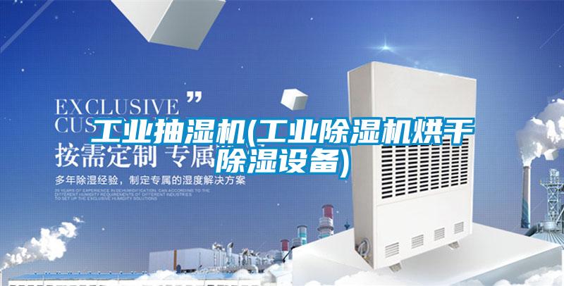 工业抽湿机(工业麻豆视频黄网站烘干除湿设备)