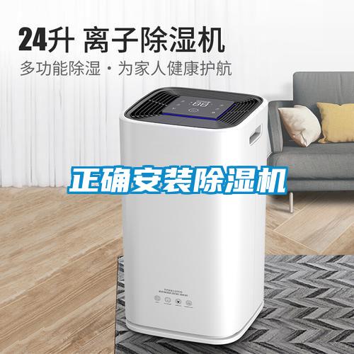 正确安装麻豆视频黄网站
