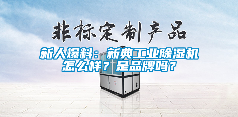 新人爆料：新典工业麻豆视频黄网站怎么样？是品牌吗？