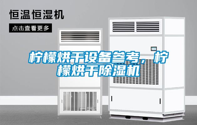 柠檬烘干设备参考，柠檬烘干麻豆视频黄网站