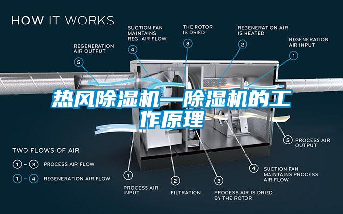 热风麻豆视频黄网站—麻豆视频黄网站的工作原理