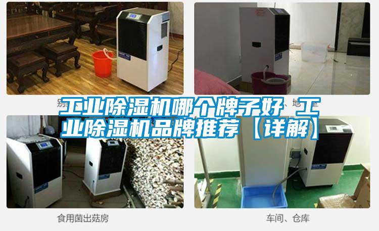 工业麻豆视频黄网站哪个牌子好 工业麻豆视频黄网站品牌推荐【详解】