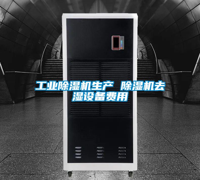 工业麻豆视频黄网站生产 麻豆视频黄网站去湿设备费用