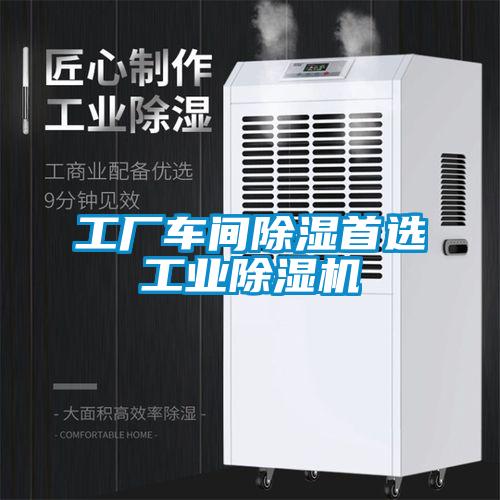 工厂车间除湿首选工业麻豆视频黄网站