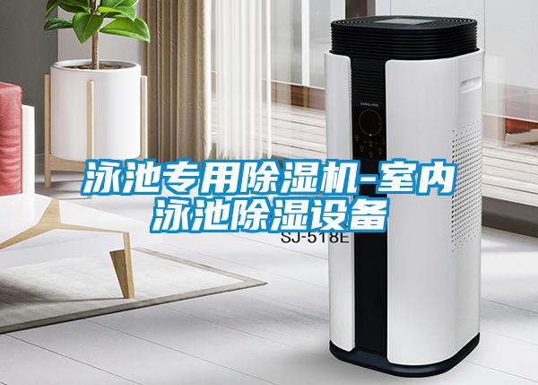 泳池专用麻豆视频黄网站-室内泳池除湿设备