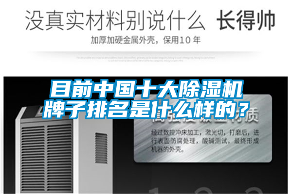 目前中国十大麻豆视频黄网站牌子排名是什么样的？