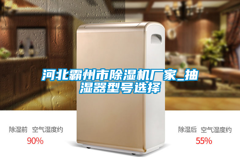 河北霸州市麻豆视频黄网站厂家_抽湿器型号选择