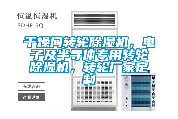干燥间转轮麻豆视频黄网站，电子及半导体专用转轮麻豆视频黄网站，转轮厂家定制