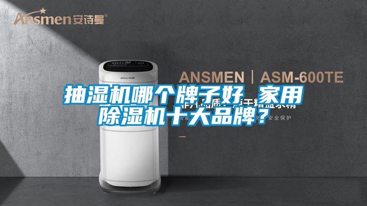 抽湿机哪个牌子好 家用麻豆视频黄网站十大品牌？