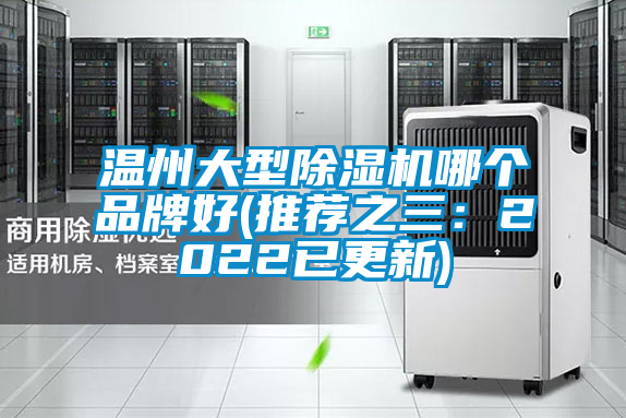 温州大型麻豆视频黄网站哪个品牌好(推荐之三：2022已更新)