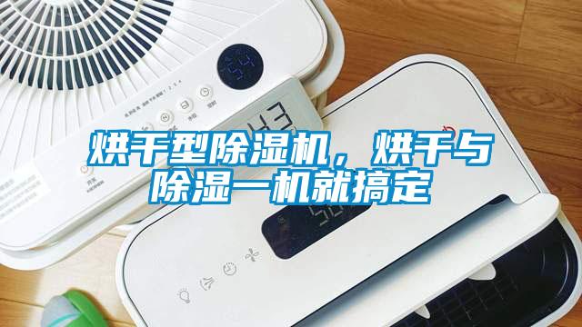 烘干型麻豆视频黄网站，烘干与除湿一机就搞定