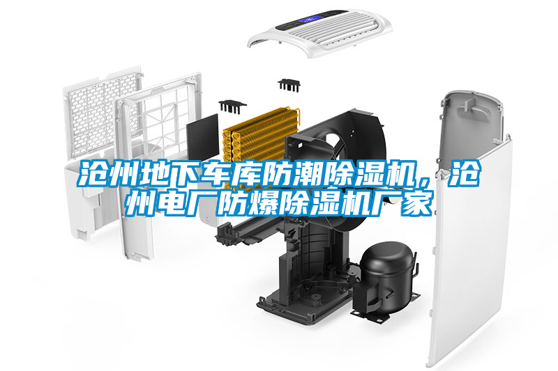 沧州地下车库防潮麻豆视频黄网站，沧州电厂防爆麻豆视频黄网站厂家