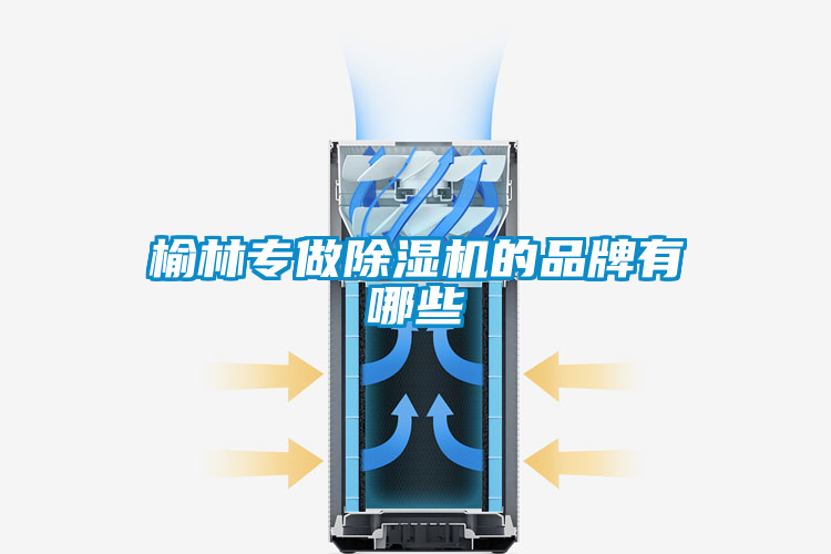 榆林专做麻豆视频黄网站的品牌有哪些