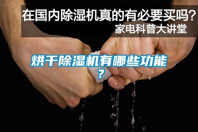 烘干麻豆视频黄网站有哪些功能？