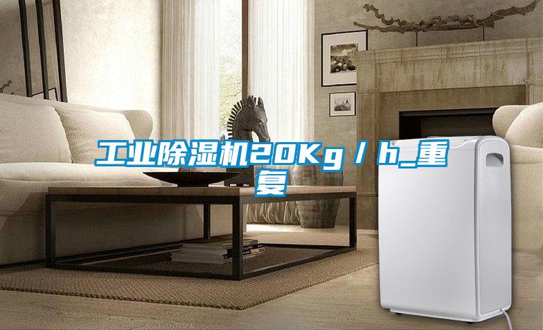 工业麻豆视频黄网站20Kg／h_重复