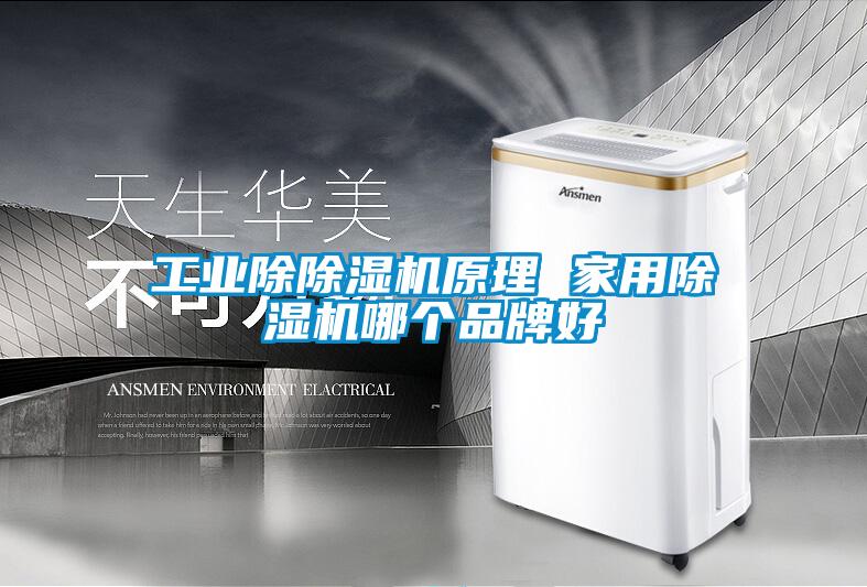 工业除麻豆视频黄网站原理 家用麻豆视频黄网站哪个品牌好