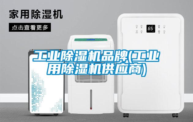 工业麻豆视频黄网站品牌(工业用麻豆视频黄网站供应商)
