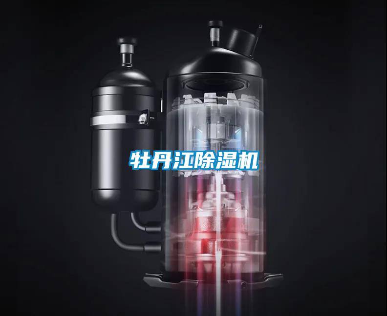 牡丹江麻豆视频黄网站