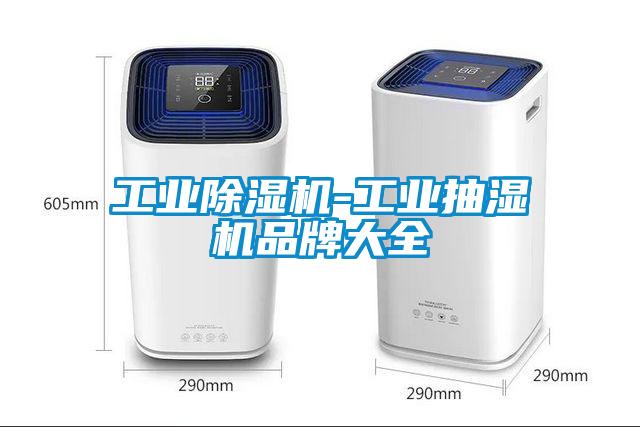工业麻豆视频黄网站-工业抽湿机品牌大全