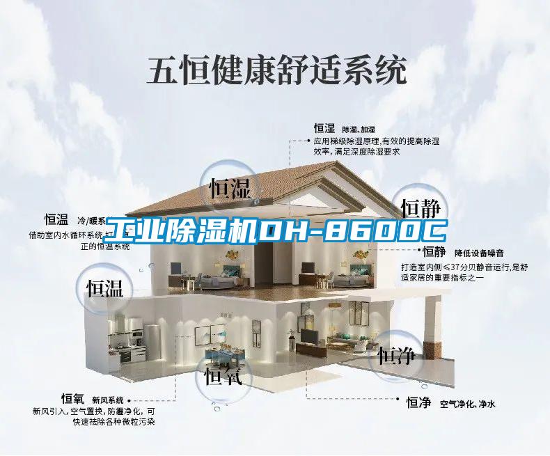 工业麻豆视频黄网站DH-8600C