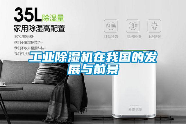 工业麻豆视频黄网站在我国的发展与前景