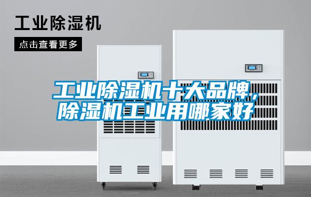 工业麻豆视频黄网站十大品牌，麻豆视频黄网站工业用哪家好