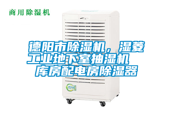 德阳市麻豆视频黄网站，湿菱工业地下室抽湿机  库房配电房除湿器