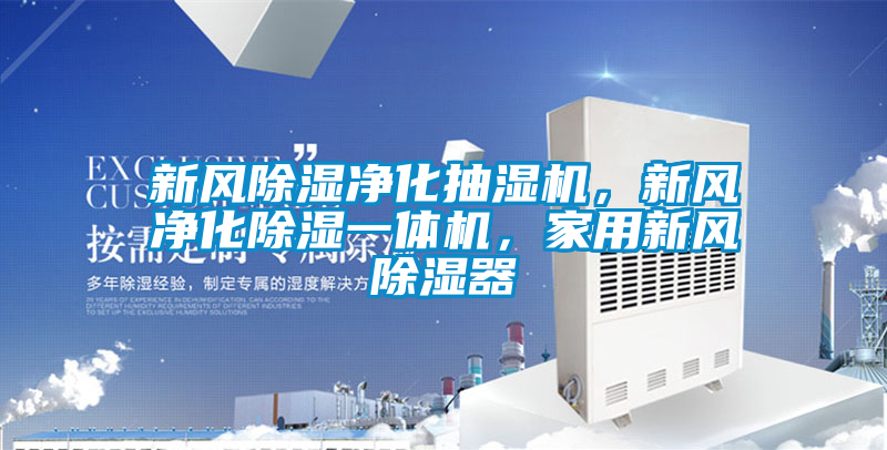 新风除湿净化抽湿机，新风净化除湿一体机，家用新风除湿器
