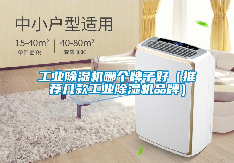 工业麻豆视频黄网站哪个牌子好（推荐几款工业麻豆视频黄网站品牌）