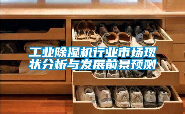 工业麻豆视频黄网站行业市场现状分析与发展前景预测